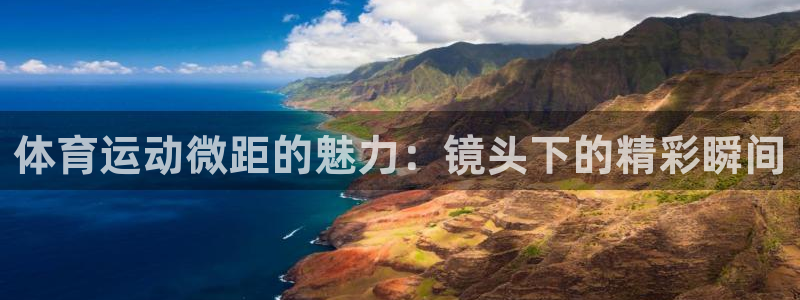 V体育app下载入口
