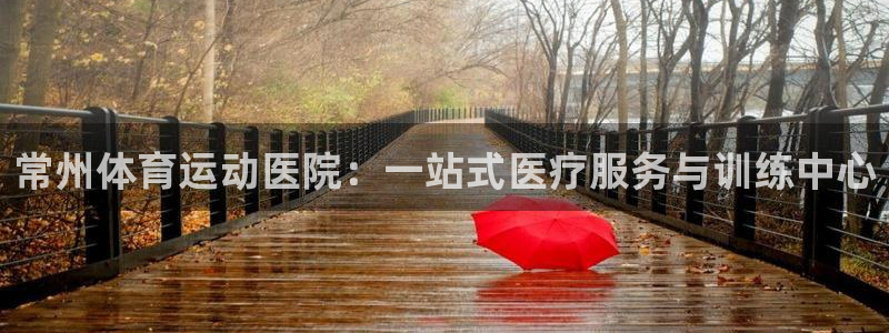 V体育APP下载
