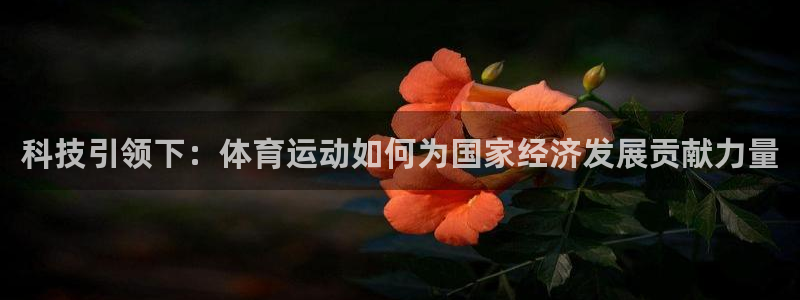 V体育因你而精彩下载：科技引领下：体育运动如何为国家经济发展贡献力量