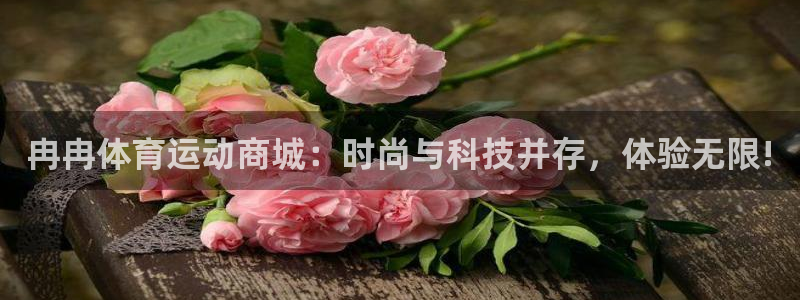 关键词：冉冉体育运动商城：时尚与科技并存，体验无限!