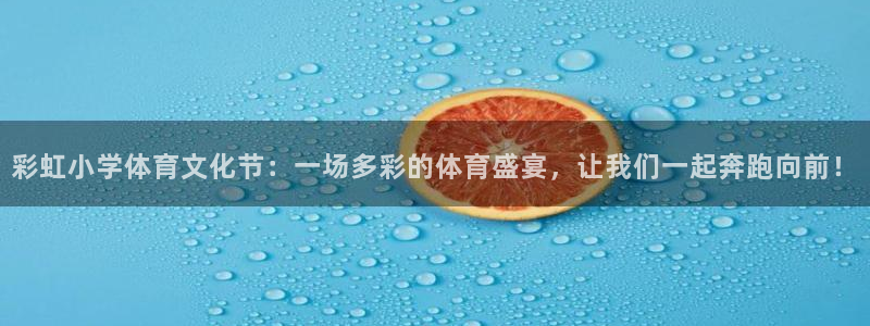 V体育网站入口登录