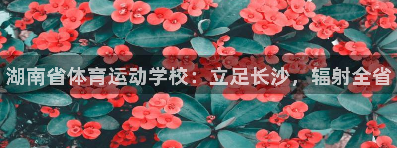 V体育平台app